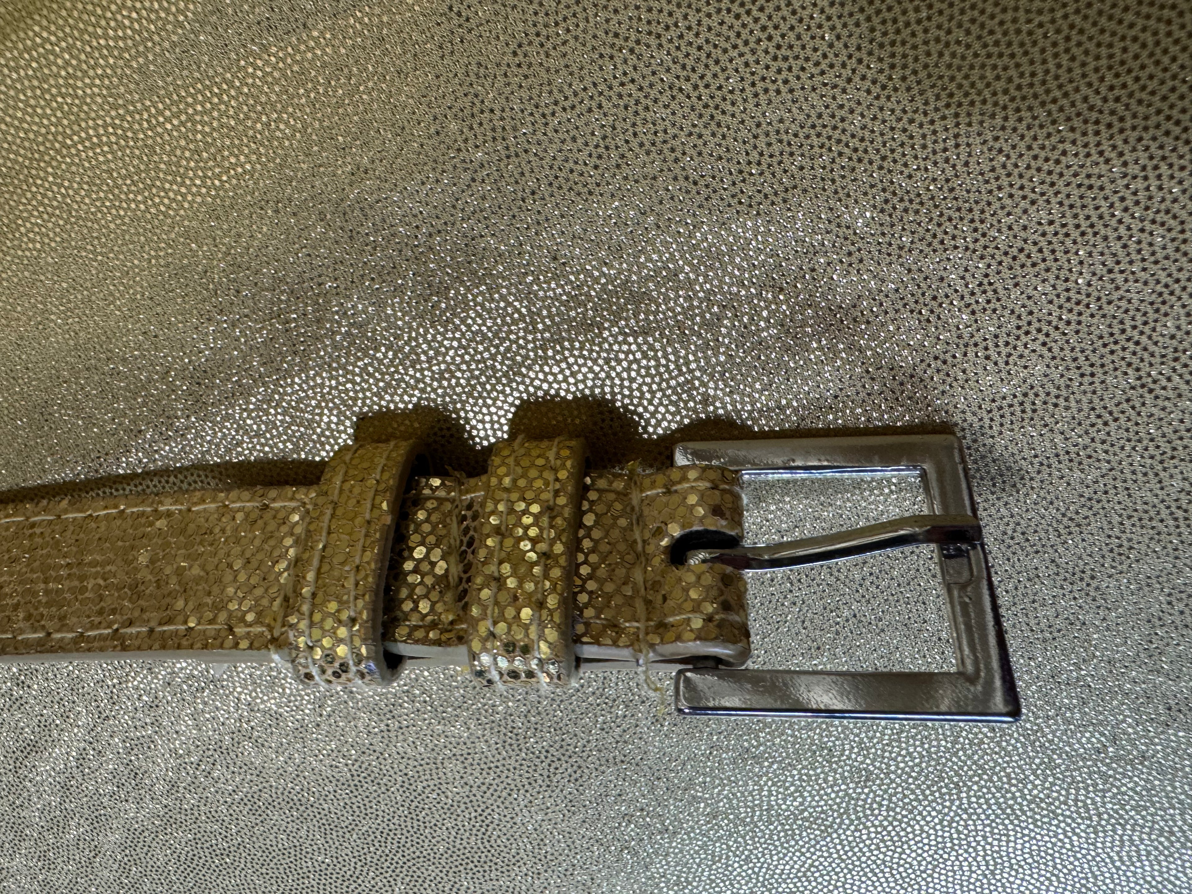 Vintage Y2K Shimmer Metallic Gold Skinny Belt - 39.5" ✨