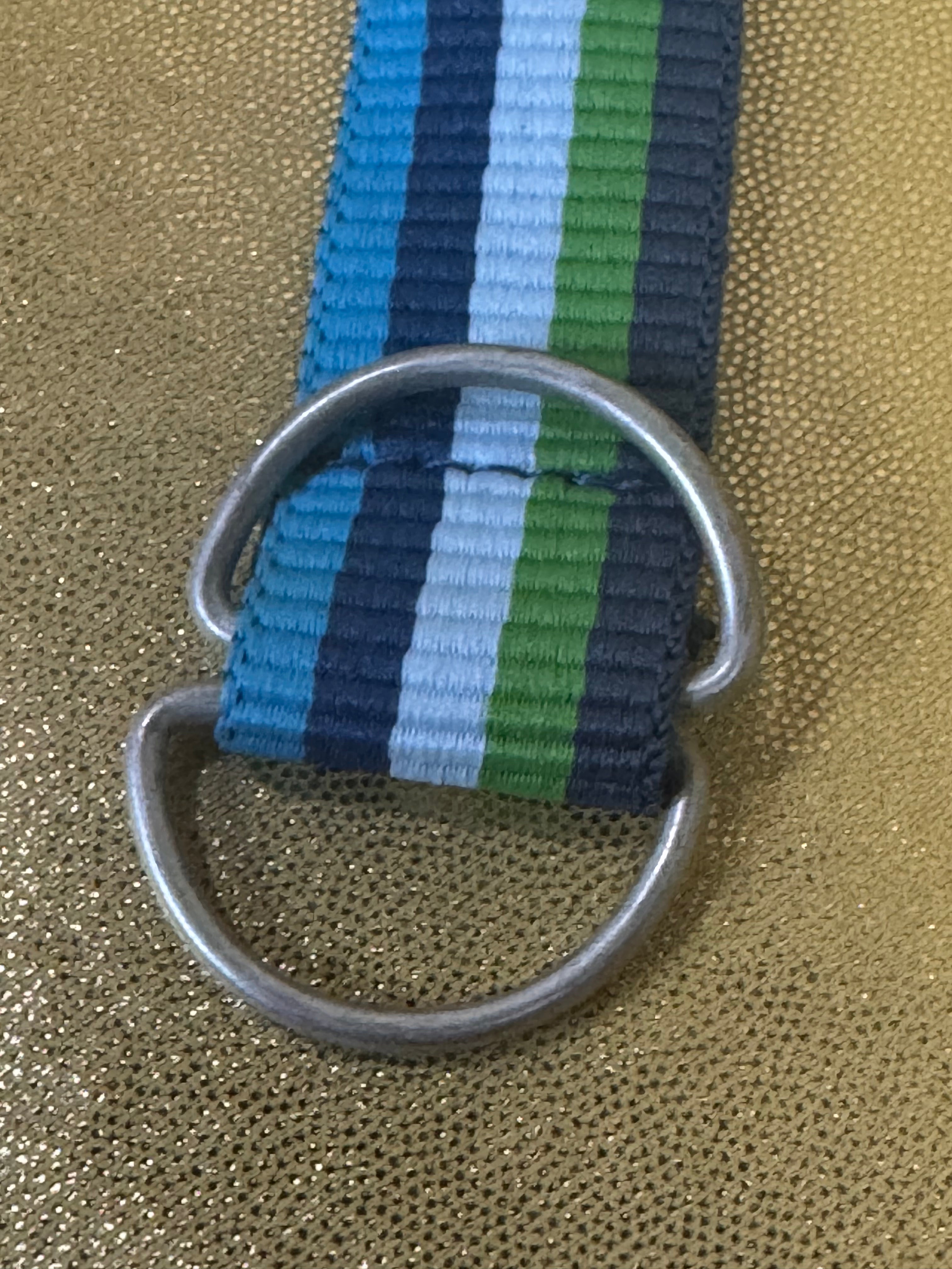 Preppy Striped Polyester D-Ring Webbing Belt - Blue, Green & White 36"