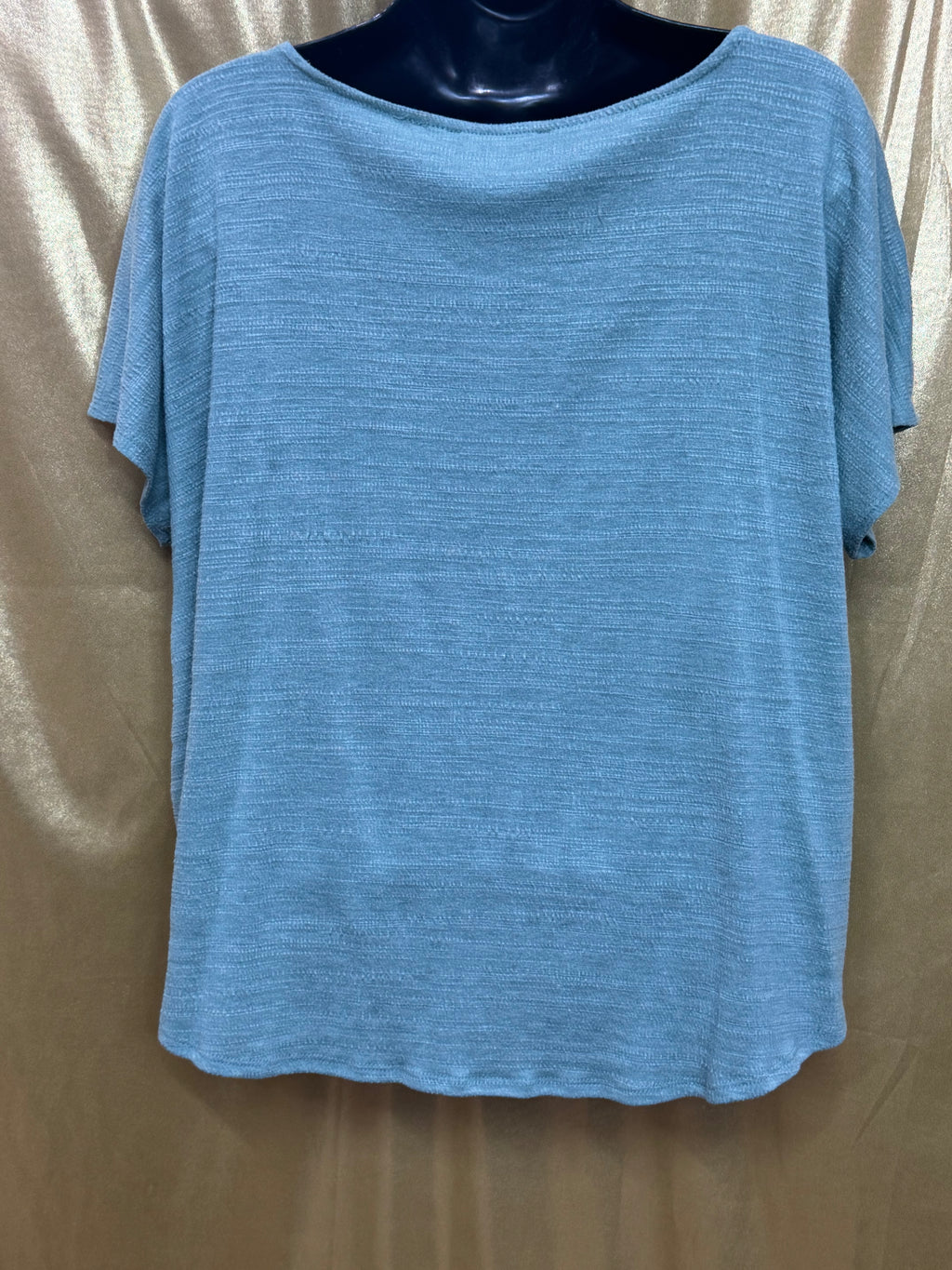 Cable & Gauge Blue Tie-Front Button Down Short Sleeve Top, Size Large