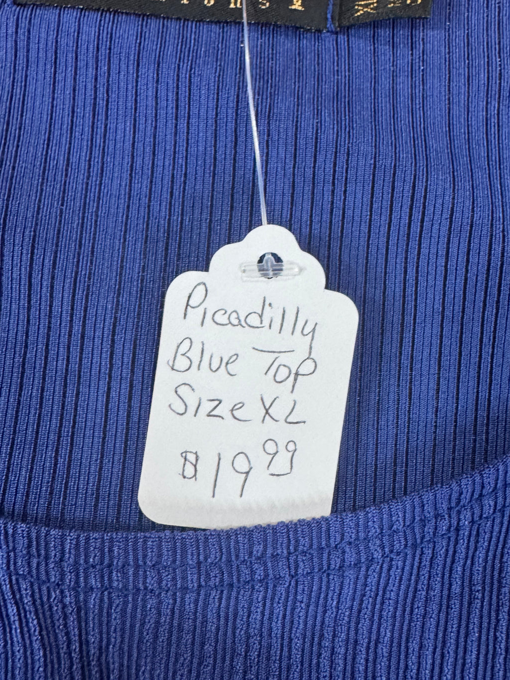 Piccadilly Vintage Blue Sleeveless Blouse Sz XL