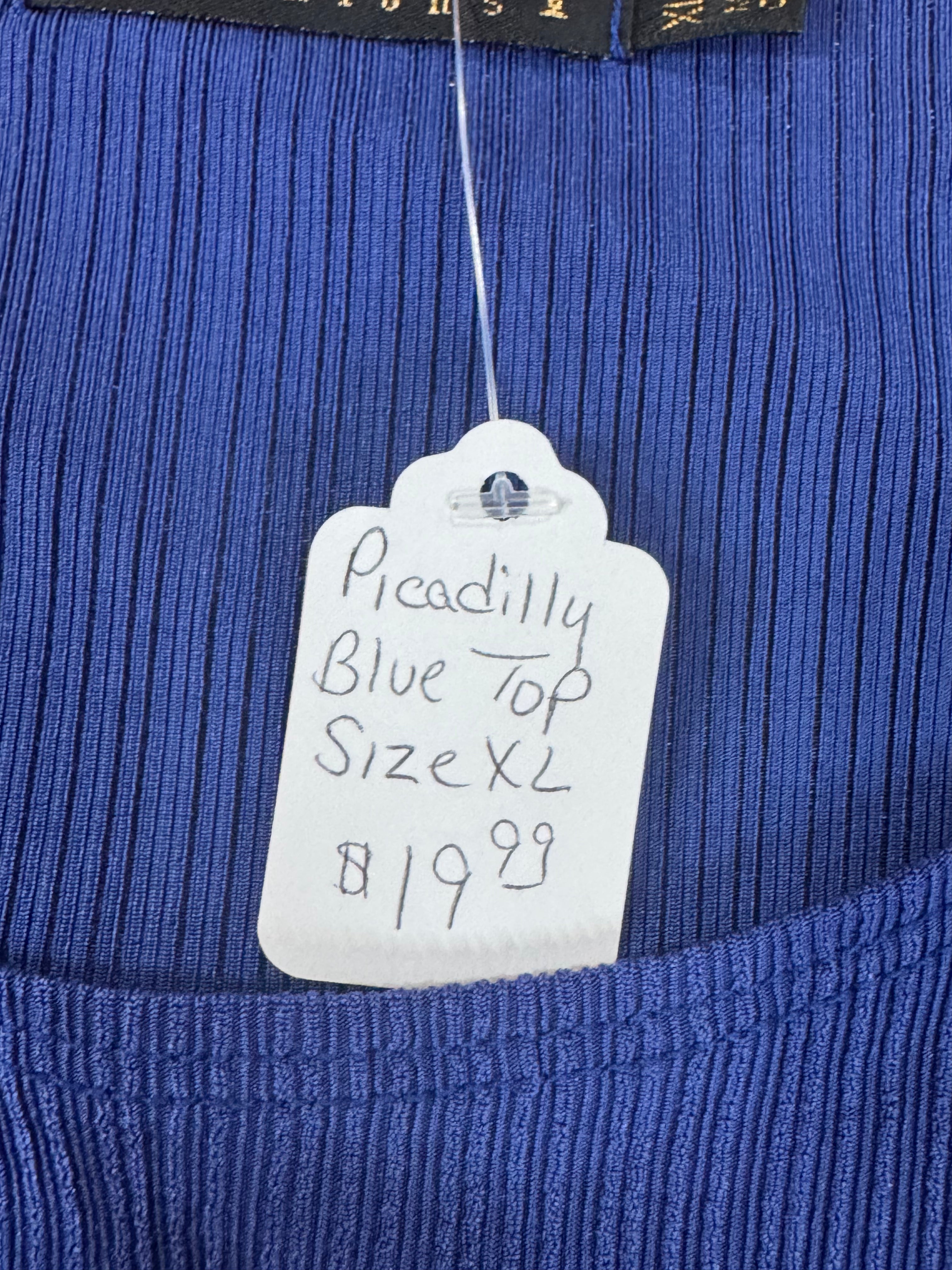 Piccadilly Vintage Blue Sleeveless Blouse Sz XL