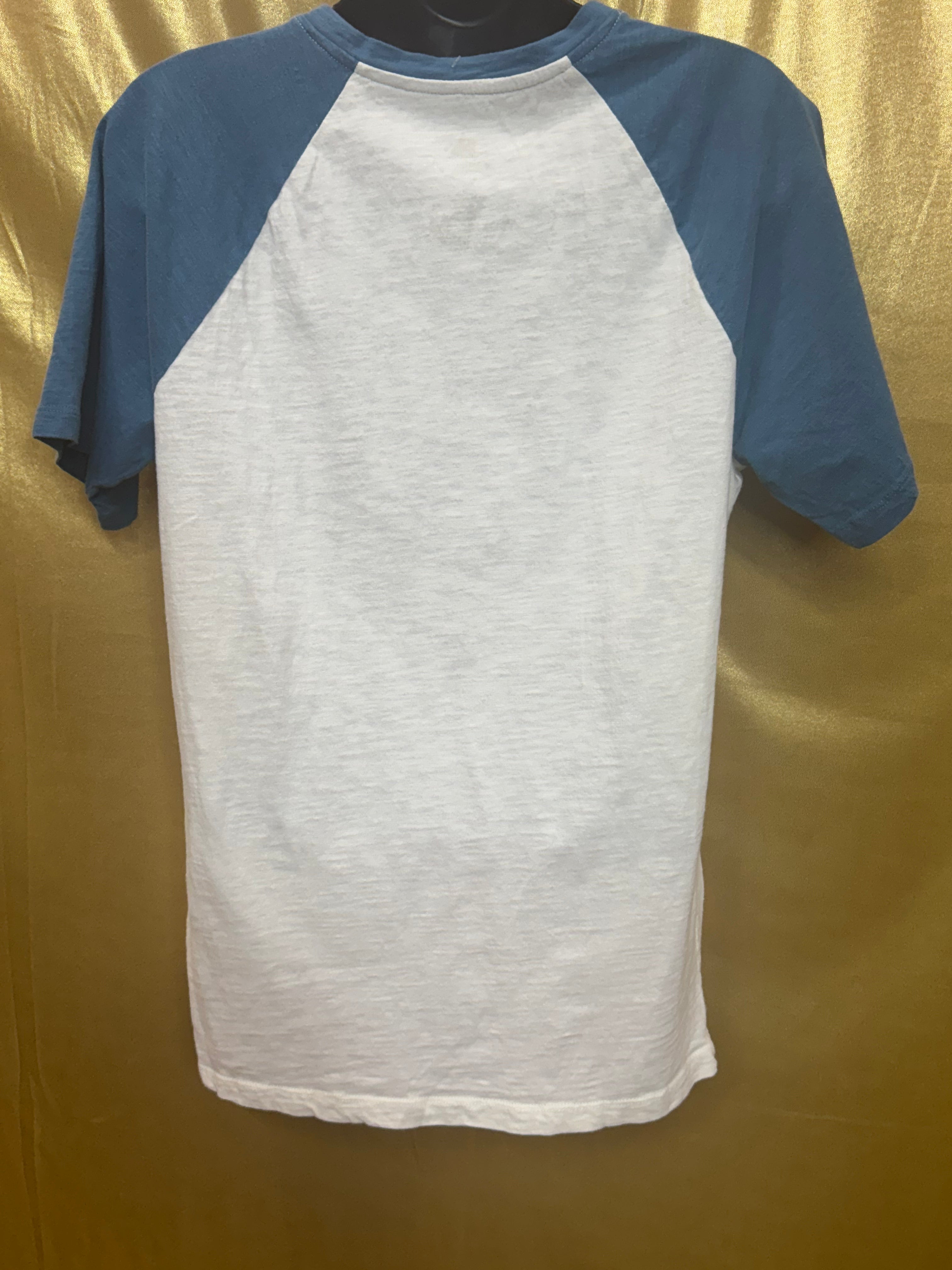 Walt Disney World Four Parks Icons Raglan T-Shirt Small Cream Blue