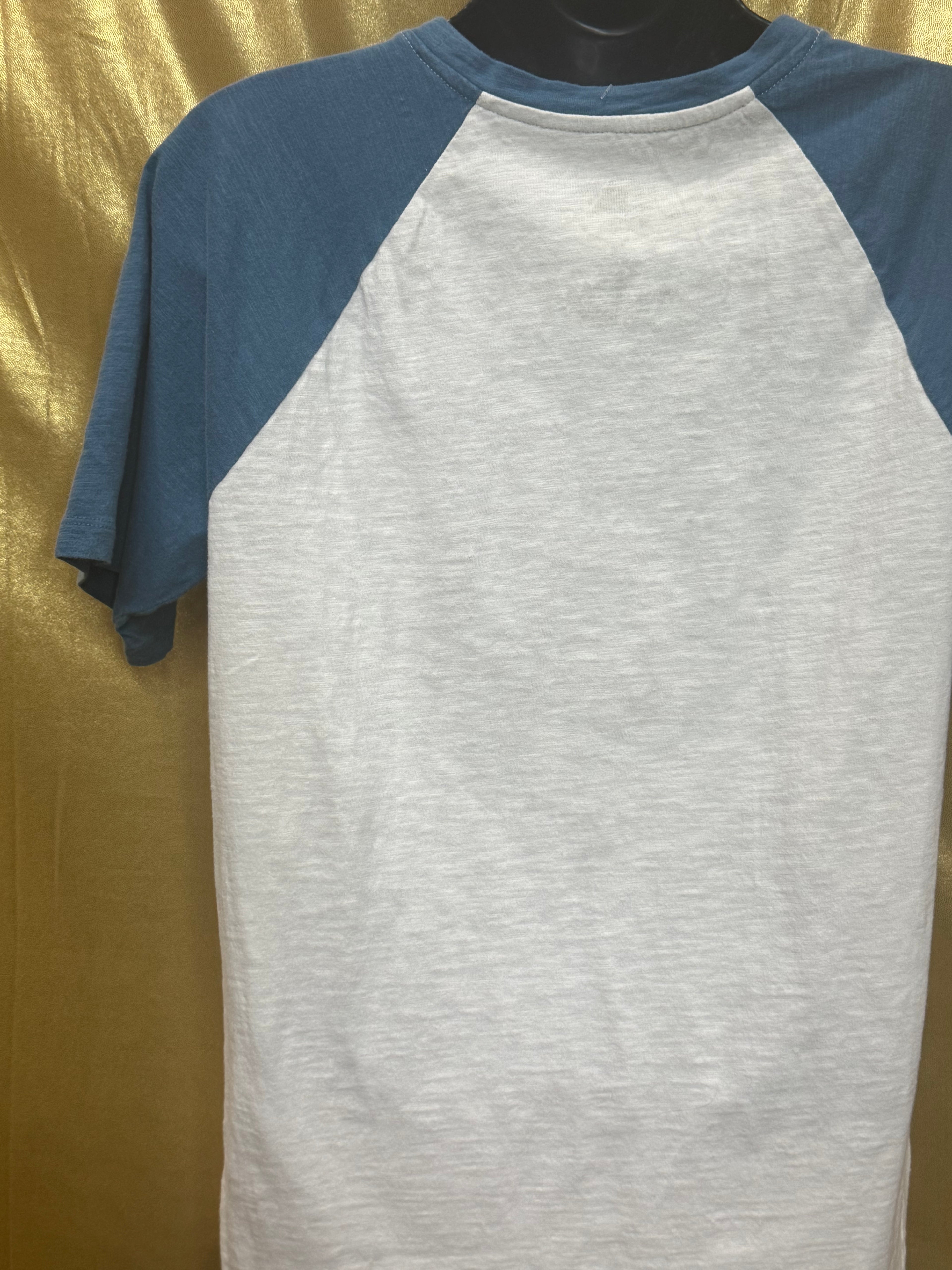 Walt Disney World Four Parks Icons Raglan T-Shirt Small Cream Blue