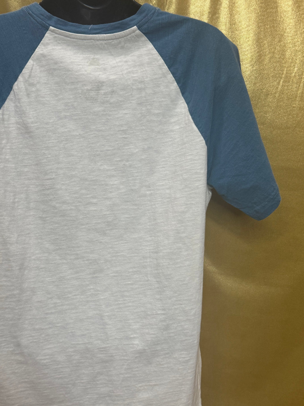 Walt Disney World Four Parks Icons Raglan T-Shirt Small Cream Blue