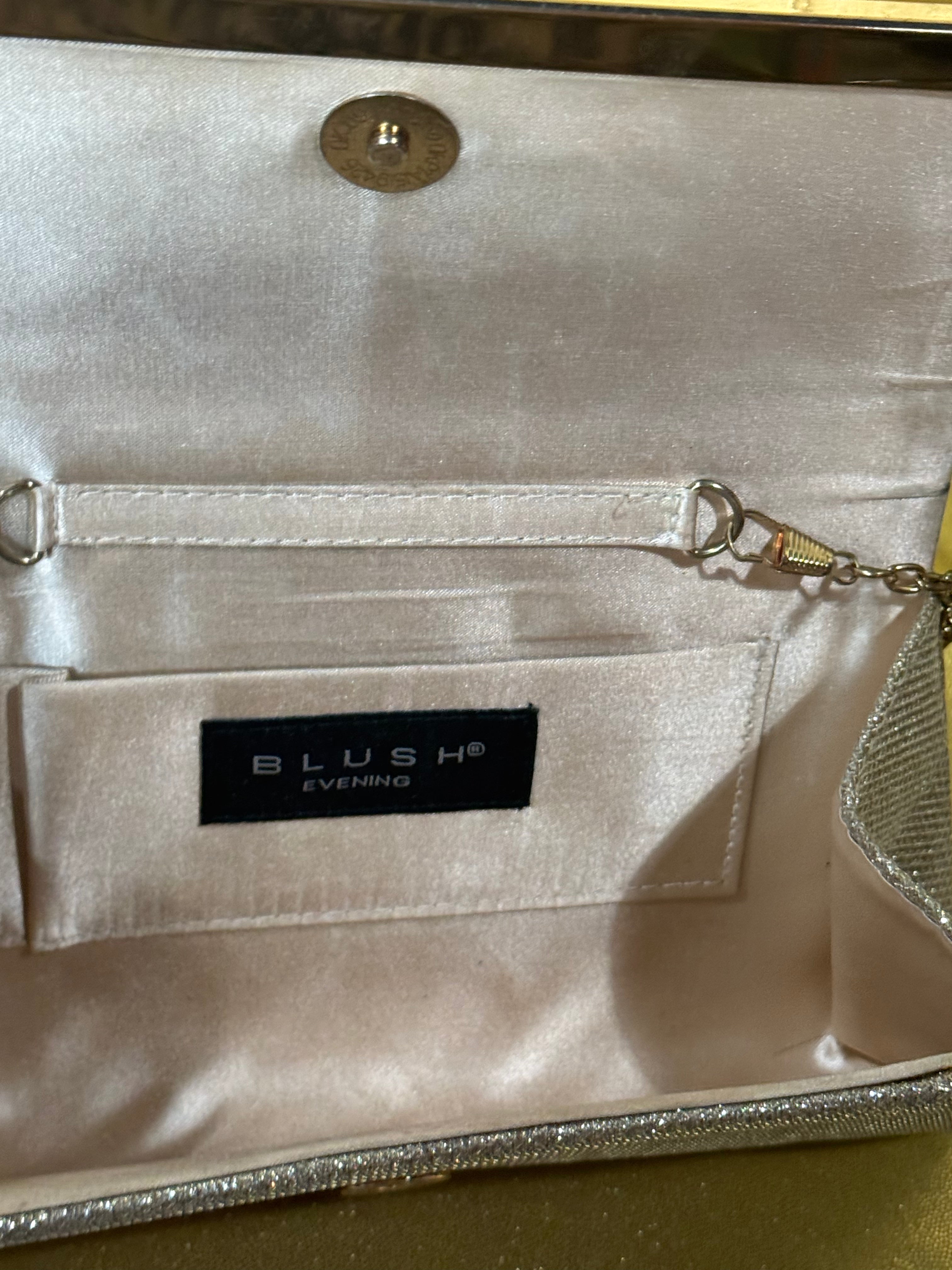 Shimmering Elegance: Blush Brand Silver Glitter Evening Clutch