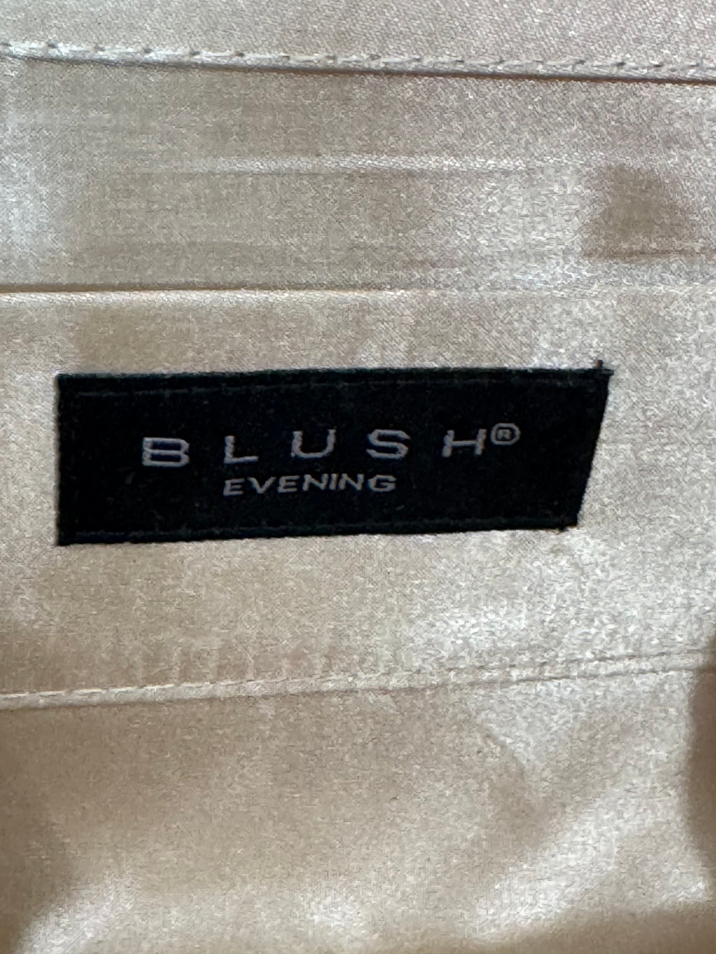Shimmering Elegance: Blush Brand Silver Glitter Evening Clutch