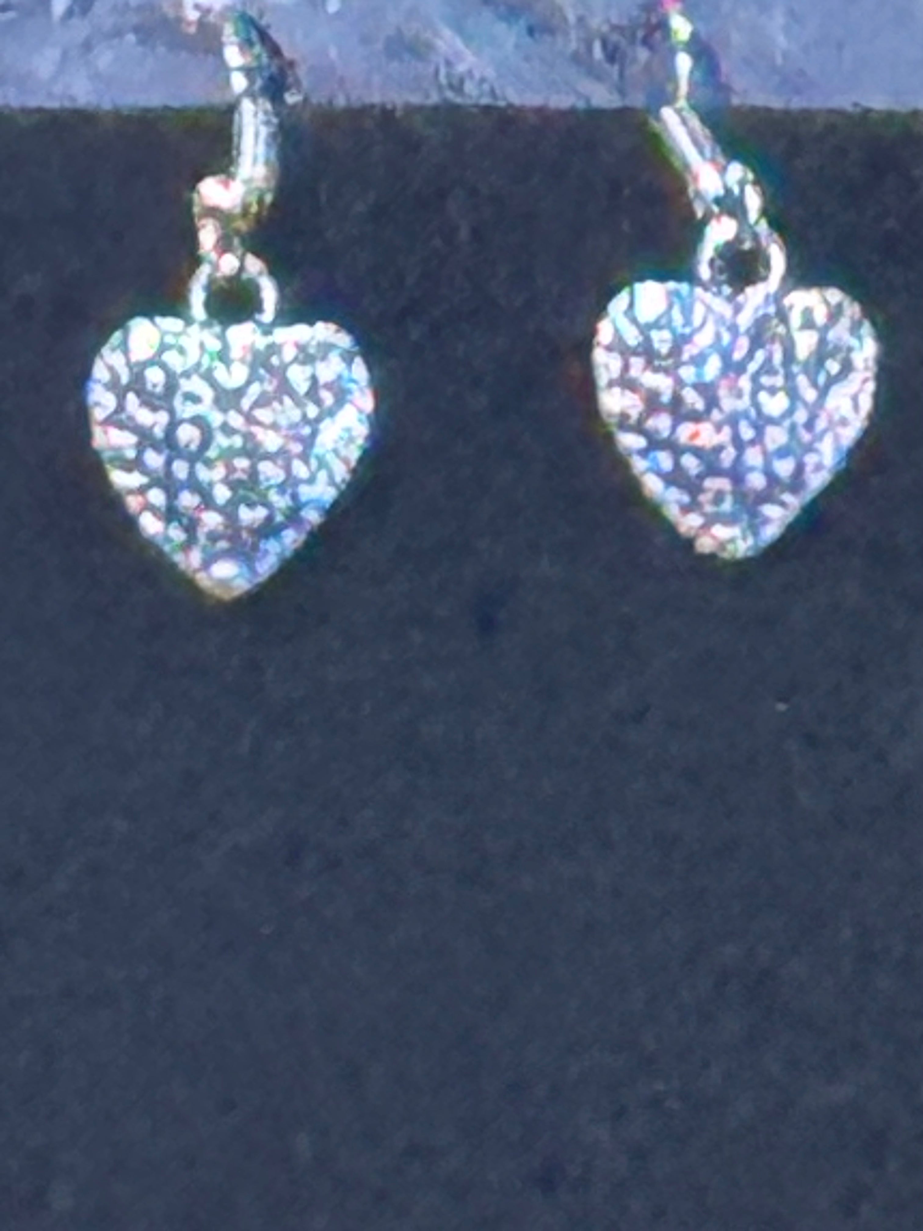 Paparazzi "Botanical Balance" Silver Textured Heart Charm Necklace & Earring Set