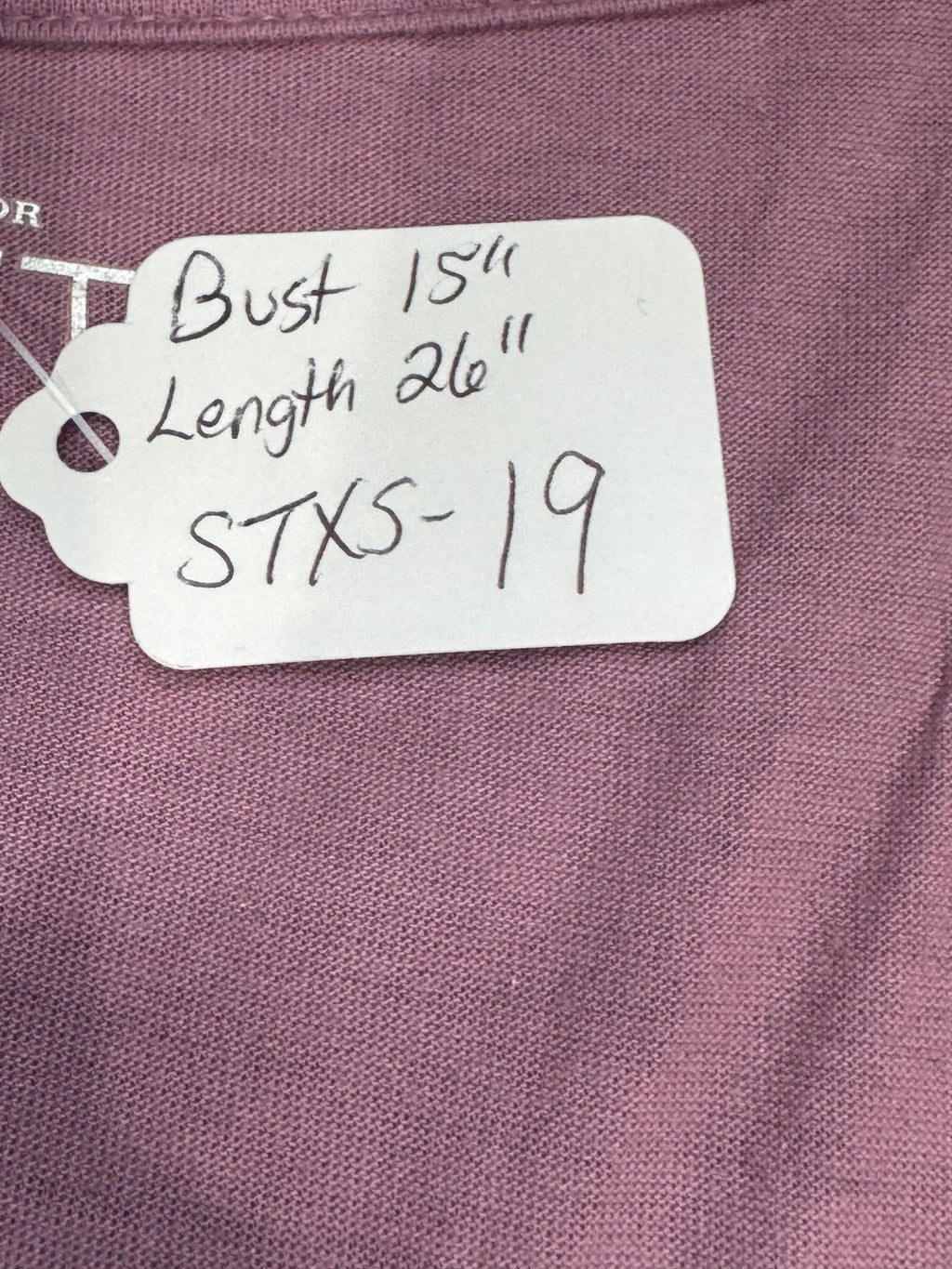 LOFT Layered Ruffle V-Neck Top Size XS