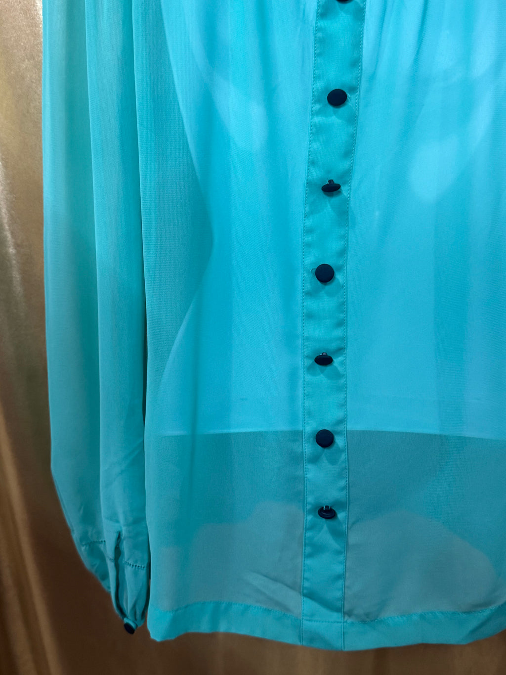 Vintage-Vibe Green Chiffon Long Sleeve Blouse by Allen B. Size XS