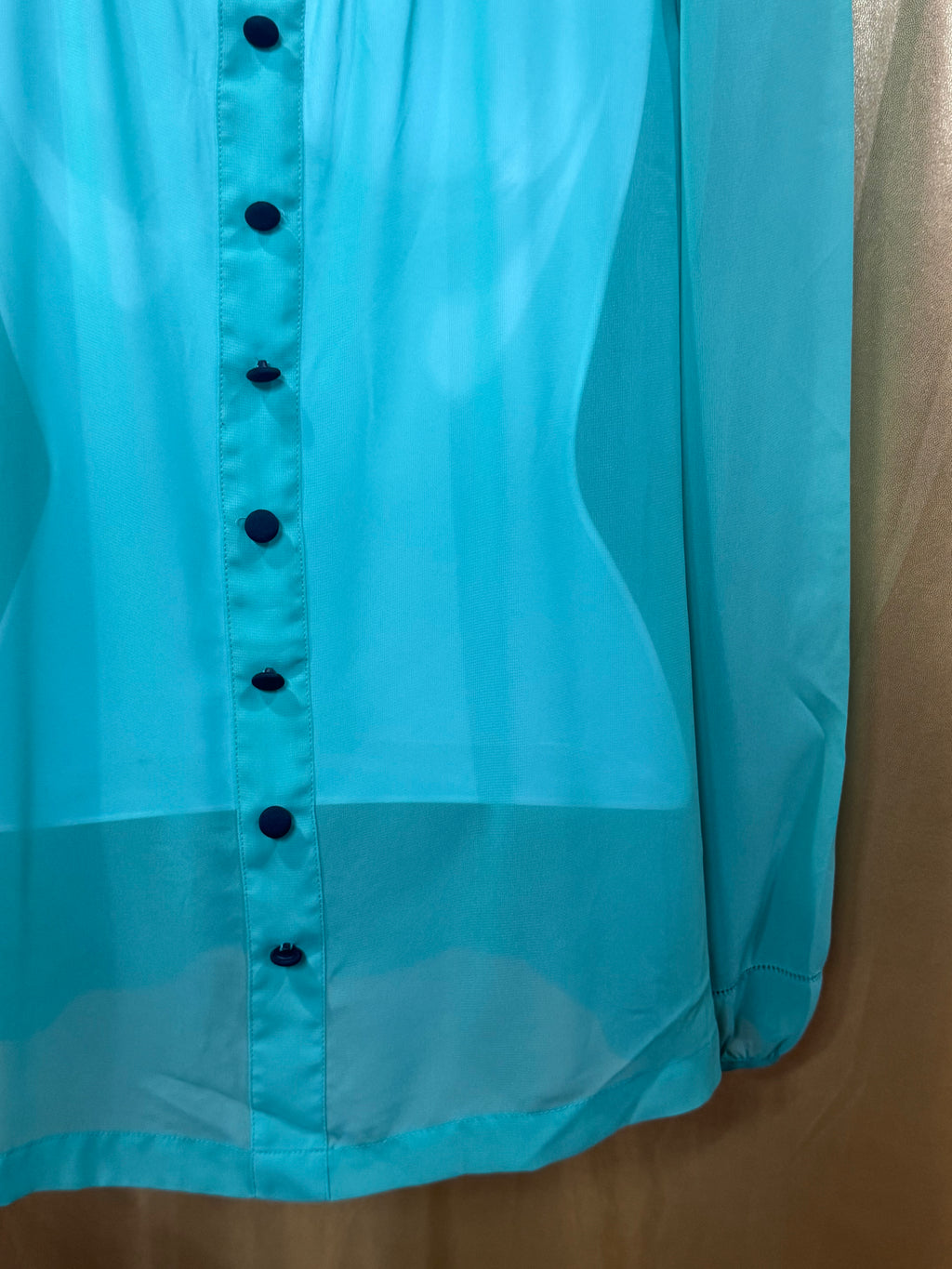 Vintage-Vibe Green Chiffon Long Sleeve Blouse by Allen B. Size XS
