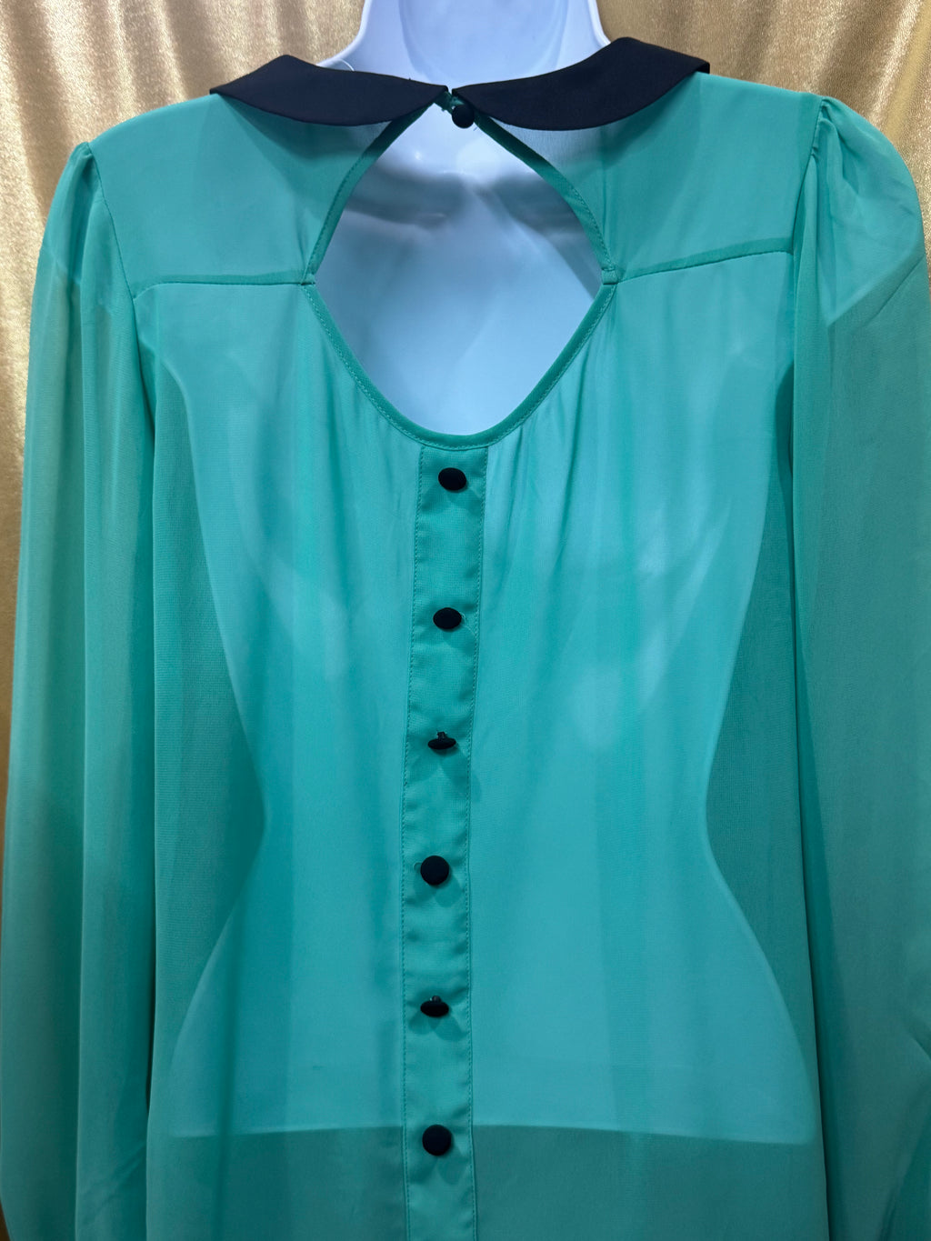 Vintage-Vibe Green Chiffon Long Sleeve Blouse by Allen B. Size XS