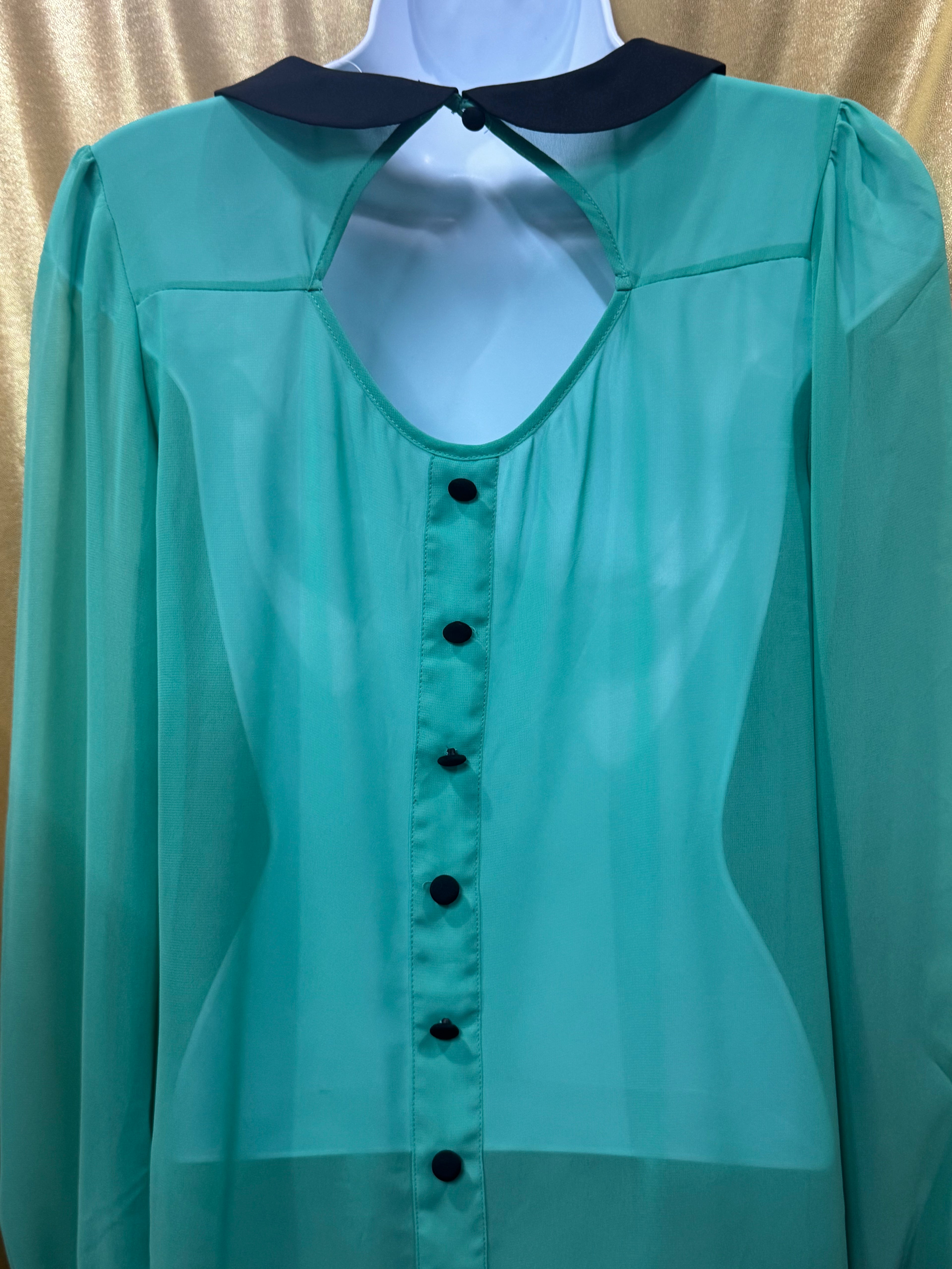 Vintage-Vibe Green Chiffon Long Sleeve Blouse by Allen B. Size XS